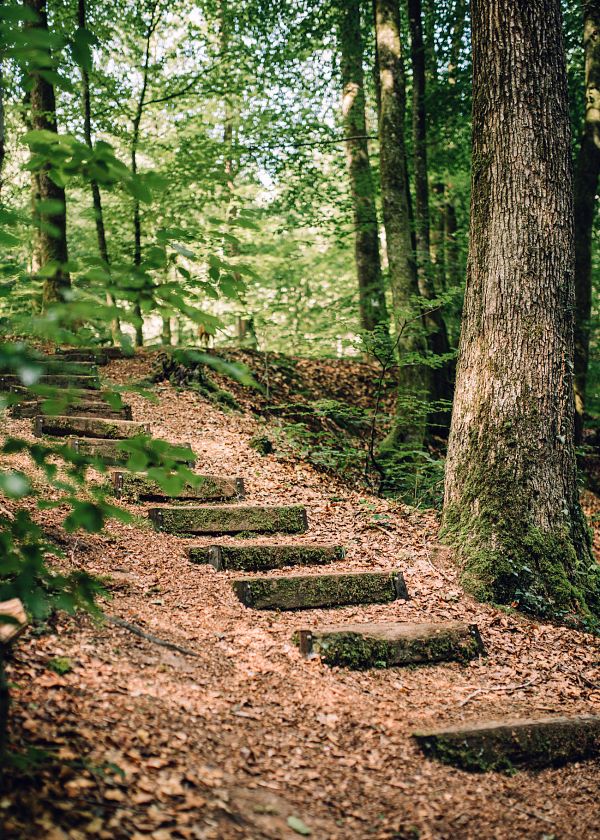 Wanderrunde bei Reimberg - „Siwen Brécken-Wee“